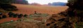 /album/photo-gallery-our-camp-beyond-wadi-rum-camp/imag0287-jpg/