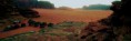 /album/photo-gallery-our-camp-beyond-wadi-rum-camp/imag0289-1-jpg/