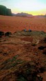 /album/photo-gallery-our-camp-beyond-wadi-rum-camp/imag0291-jpg/